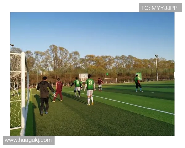 刘强谈足球生涯：从绿茵场到人生哲学的深度对话