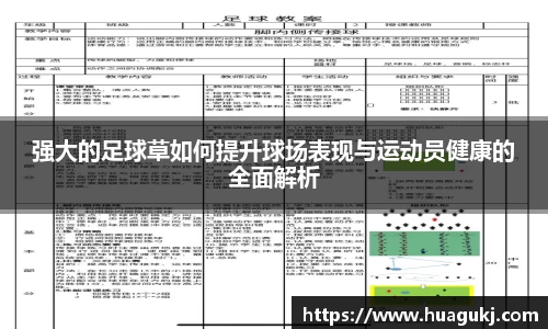 谈球吧球迷资讯